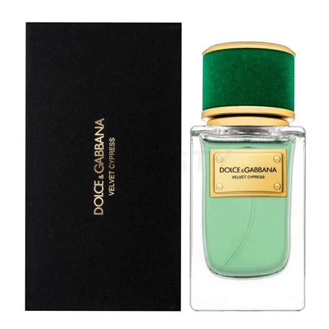 velvet cypress dolce gabbana|Dolce & Gabbana Velvet Cypress Eau de Parfum Spray, 1.7 Ounce.